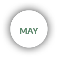 MAY